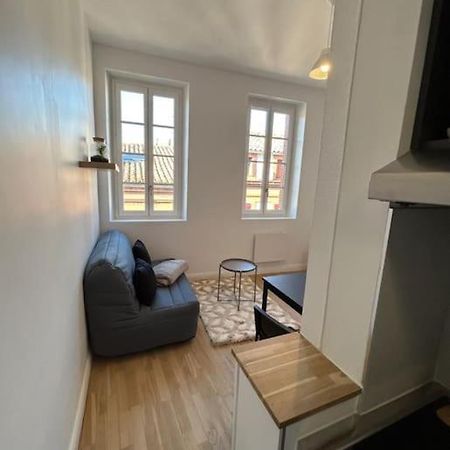 Le Studio Cygne Blanc Hypercentre Rue Riquet Τουλούζη Εξωτερικό φωτογραφία